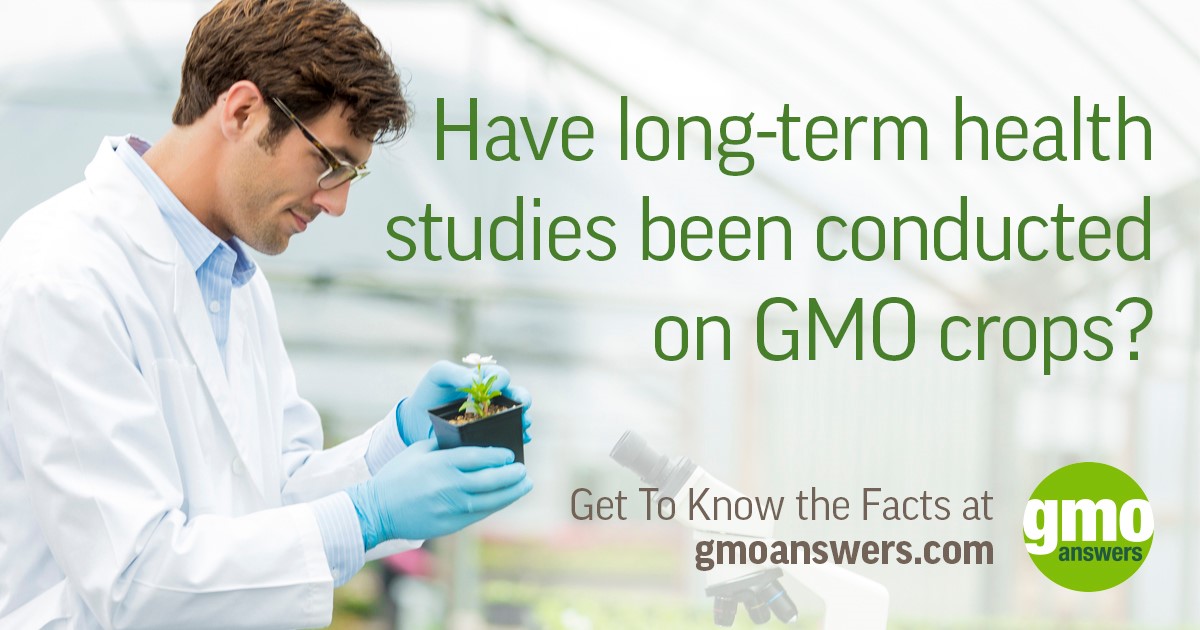 Top Consumer Questions About Gmos Answered Gmo Answers